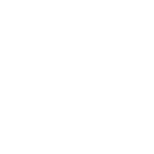 Security Providers Association of Australia Limited - SPAAL Logo